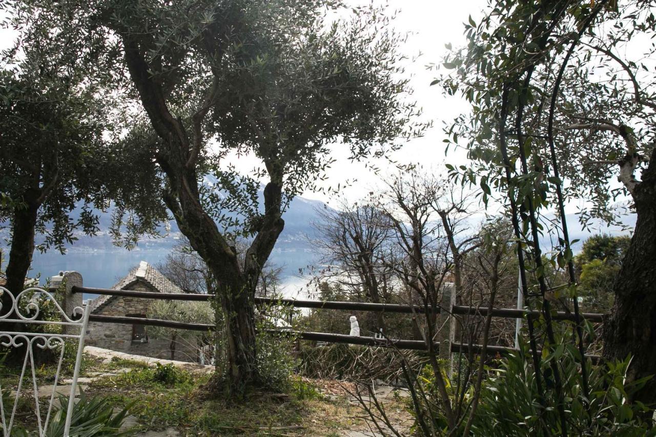 Apartmán Casa Alma Grotto Brione sopra Minusio Exteriér fotografie